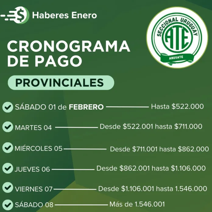 WhatsApp Image 2025-01-27 at 19.43.44