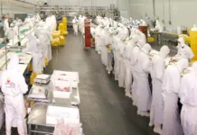 Trabajadores de Granja Tres Arroyos siguen cobrando en cuotas y crece la preocupación por el cierre de Becar