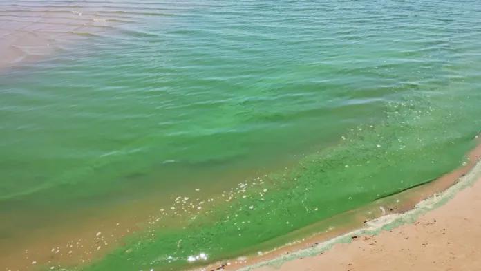 94b505e3-394e-4952-b6da-bce398ad05a4