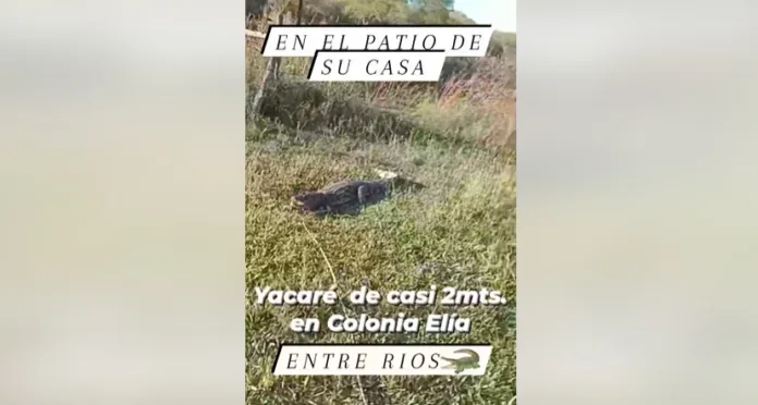 Imagen de WhatsApp 2025-02-04 a las 08.52.07_d61daaec