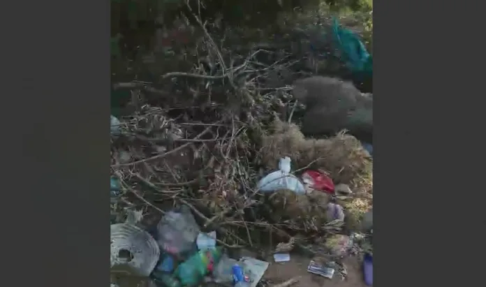 Imagen de WhatsApp 2025-02-08 a las 10.51.18_0773e04e