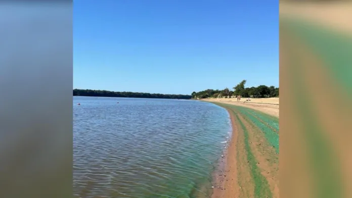 Imagen de WhatsApp 2025-02-19 a las 11.19.25_6a51393f