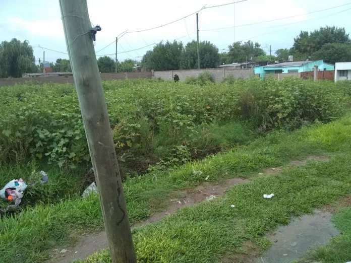 483392207_1378956729927478_108775778262332135_n