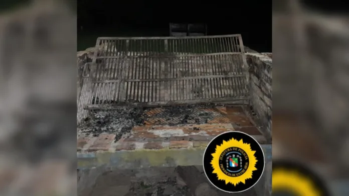 Imagen de WhatsApp 2025-03-20 a las 11.11.38_940e01f2