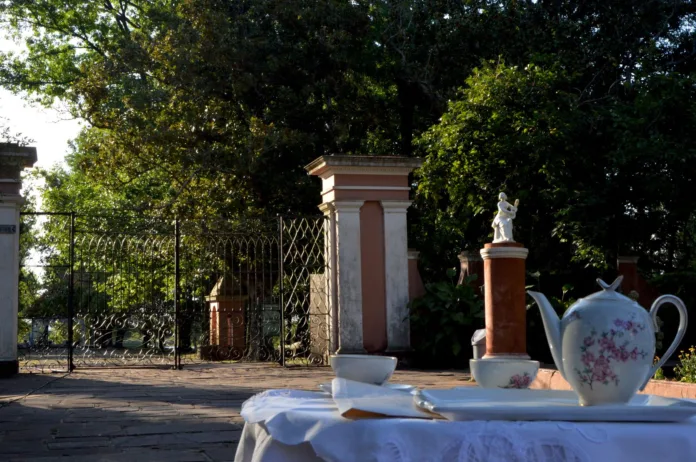 WhatsApp Image 2025-03-13 at 18.37.31