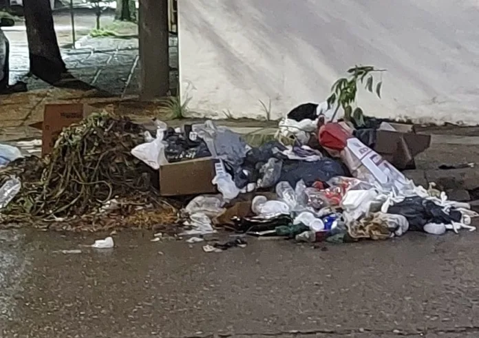 235a34a7-6d6d-41c8-a78d-e3c31e0e21d9