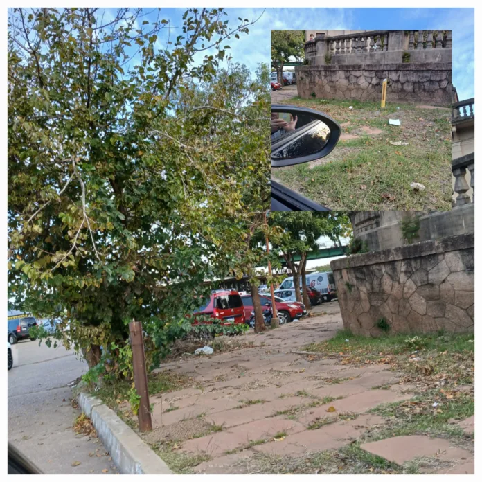 491853743_4042610539339218_4650020809331886460_n