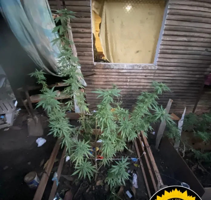 9f0777845b7a44e5927f18a6cded8697