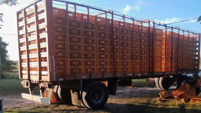 e8f36461-c832-4be4-9dc8-cdcd6dcdb6fa