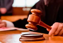 Colón: la Justicia ordenó frenar desmontes en un área natural protegida