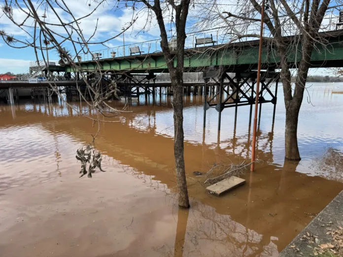 7c01acd5-d6c6-4972-a630-d2e3a7dc2123