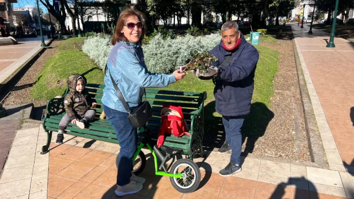 Poda de rosas Plaza Ramírez 1
