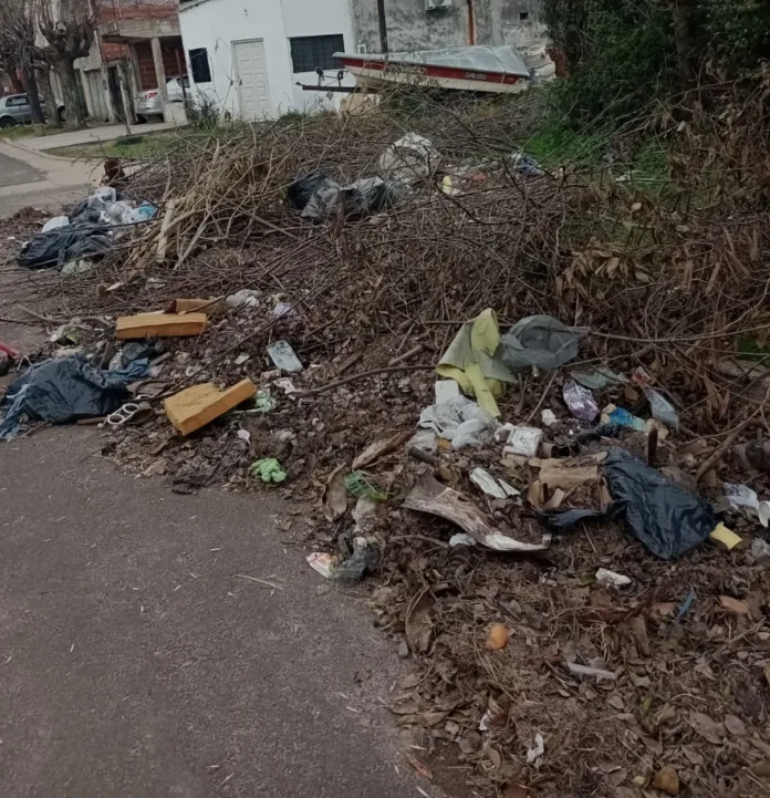 d3b299a3-8d3e-41b4-a806-c41c7f2648c9