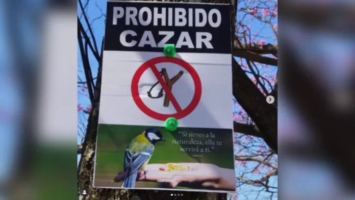 Imagen de WhatsApp 2025-09-29 a las 11.17.03_c0c1eeef