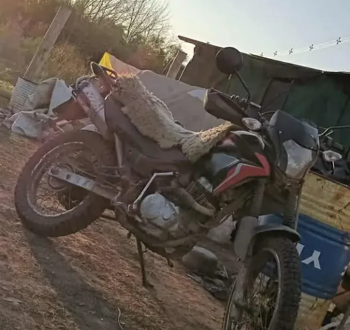 554199988_1345173220358124_6108883869396752085_n