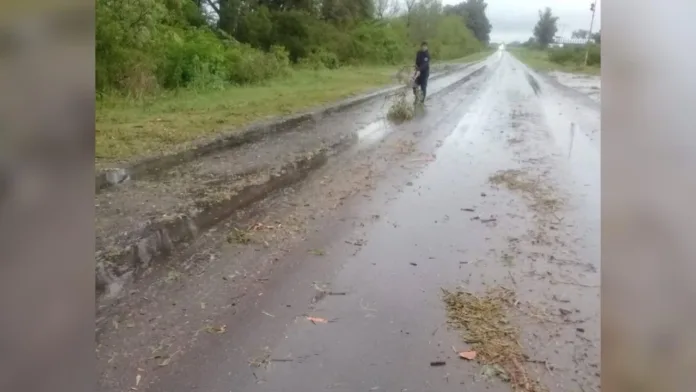 Imagen de WhatsApp 2025-10-05 a las 08.58.05_16f699d0