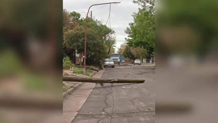 Imagen de WhatsApp 2025-10-05 a las 16.43.50_94d89115