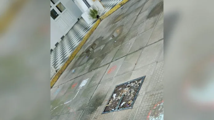 Imagen de WhatsApp 2025-10-06 a las 11.11.58_41239638